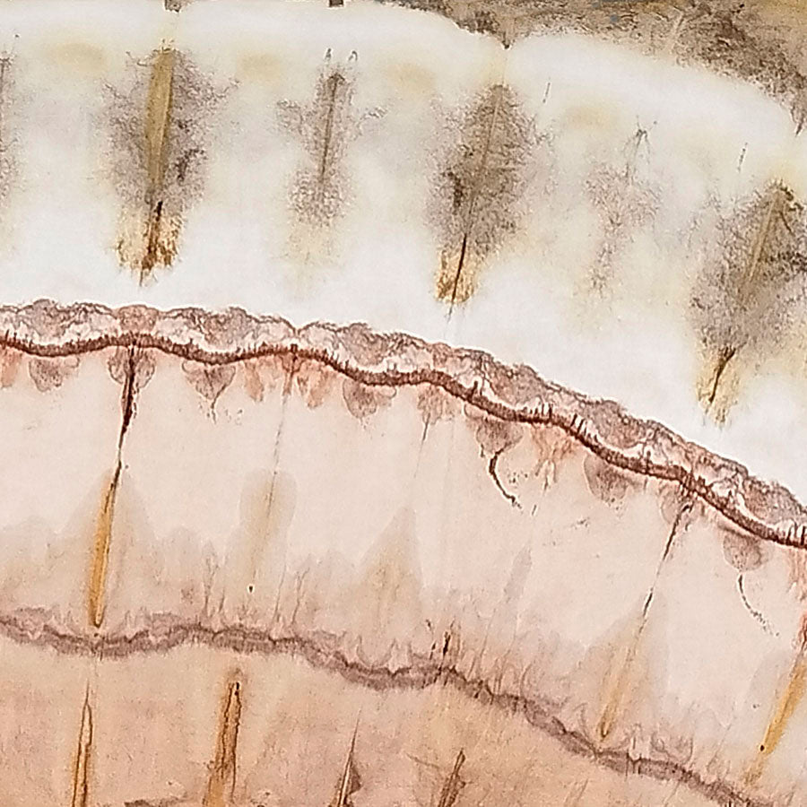 ORILLA - Opé atá